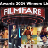 Filmfare Awards 2024 Winners List South